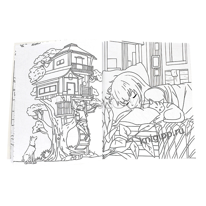 Раскраска аниме. Любимые питомцы