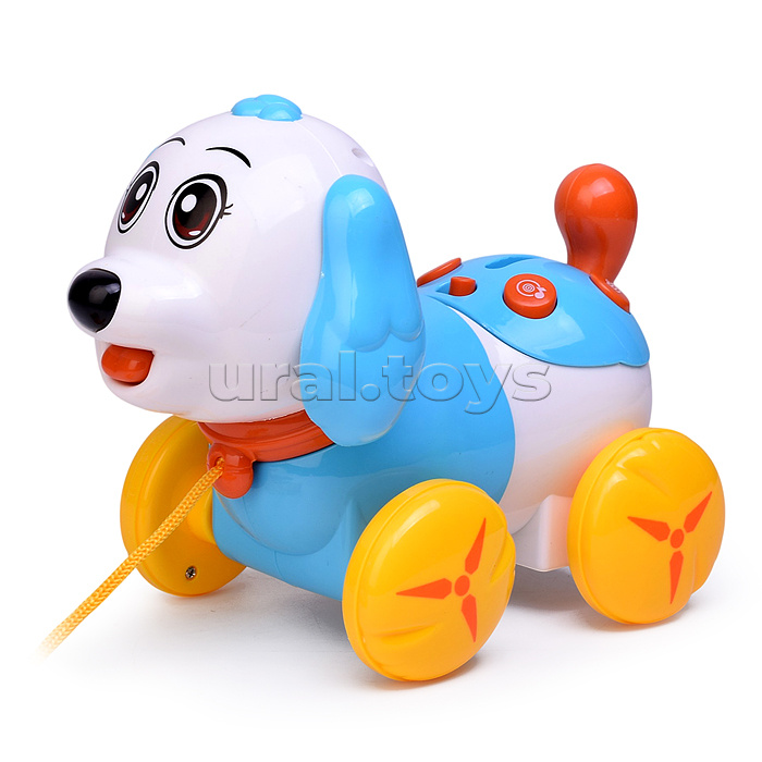 Собака  "Шарик" в коробке