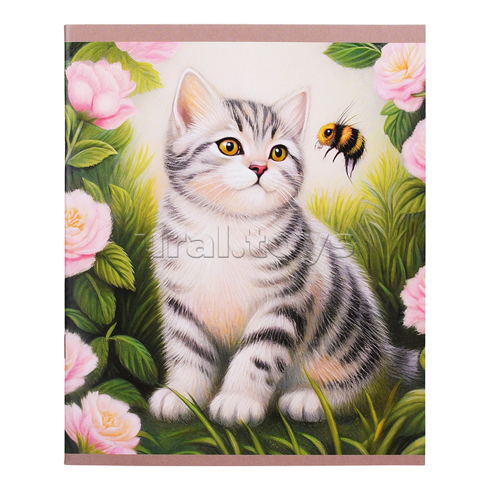 Тетрадь 48л. клетка "Солнечные коты" скрепка. обл.: мел. картон. Бум. оф.60 г/м2.