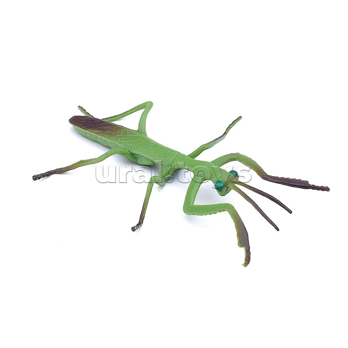 Насекомое в ассортименте, в коробке