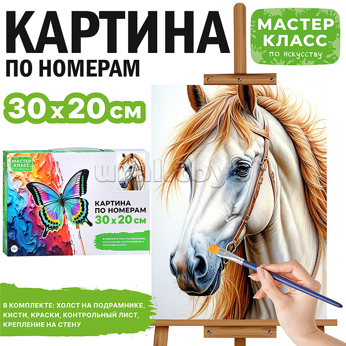 Набор для рисования "Картина по номерам 20*30 см. Белая лошадь"