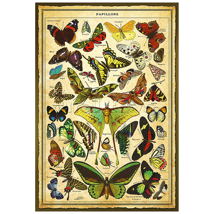 Пазлы 1500 Плакат "Бабочки"