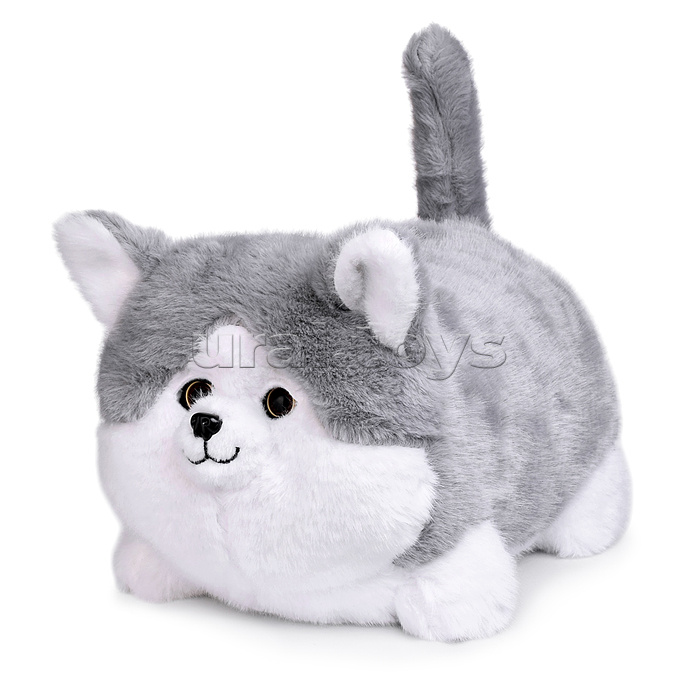 Собака "Пушистик" в коробке