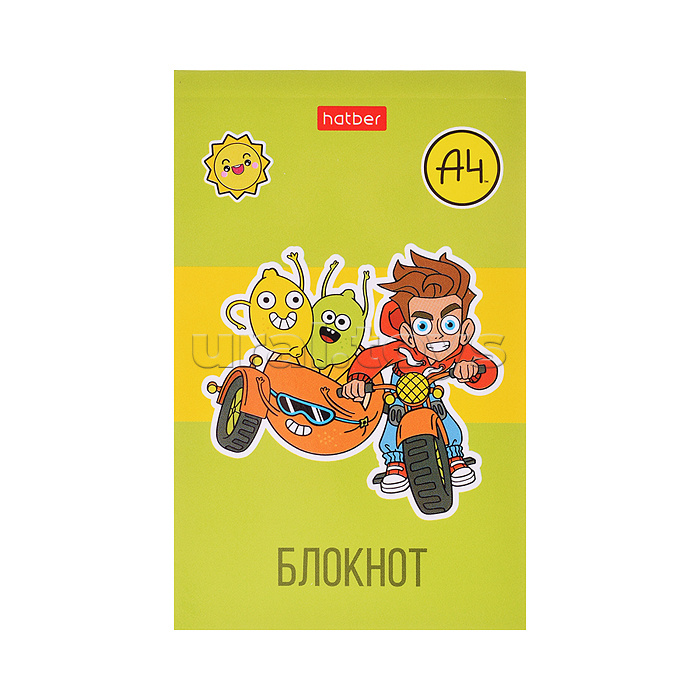 Блокнот А7 48л клетка "Влад А4" в Дисплее  52 шт