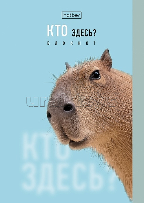 Блокнот 32л А6ф клетка "Кто здесь?" на скобе, обложка мел. бумага глянц. ламинация