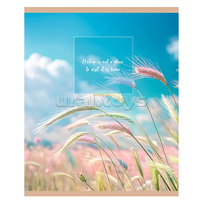 Тетрадь 48л. клетка "Нежный рассвет" А5 скрепка