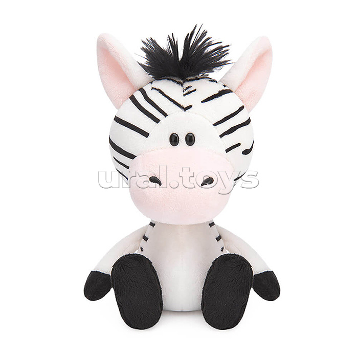 Зебрёнок Зиба