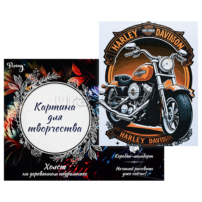 Картина по номерам 30х40 "Легенда дороги" (13 цветов)