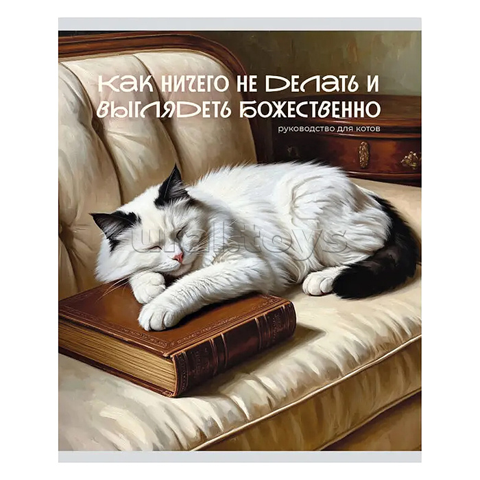 Тетрадь 48л. клетка серая "Кот и лень" А5 скрепка