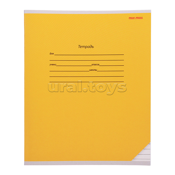 Тетрадь 12л. линия "Класстка" цвет.мелов.обл.,