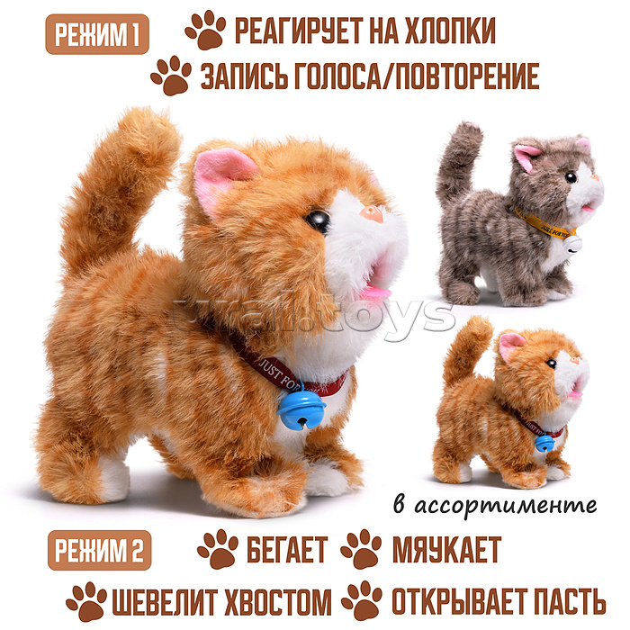 Кошка "Мурка" (бегает, записывает, мяукает, шевелит хвостом, открывает пасть) в пакете Кошка "Мурка" (бегает, записывает, мяукает, шевелит хвостом, открывает пасть) в пакете