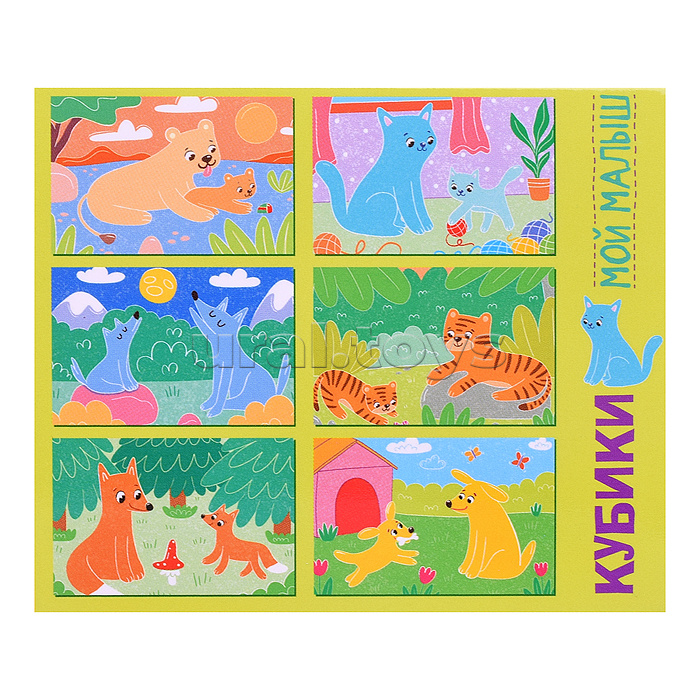 Кубики 6 шт. "Мой малыш" (StepKids)