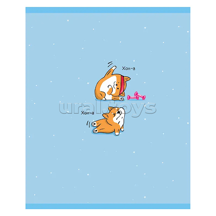 Тетрадь 48л. клетка "В стиле "Корги" А5 скрепка