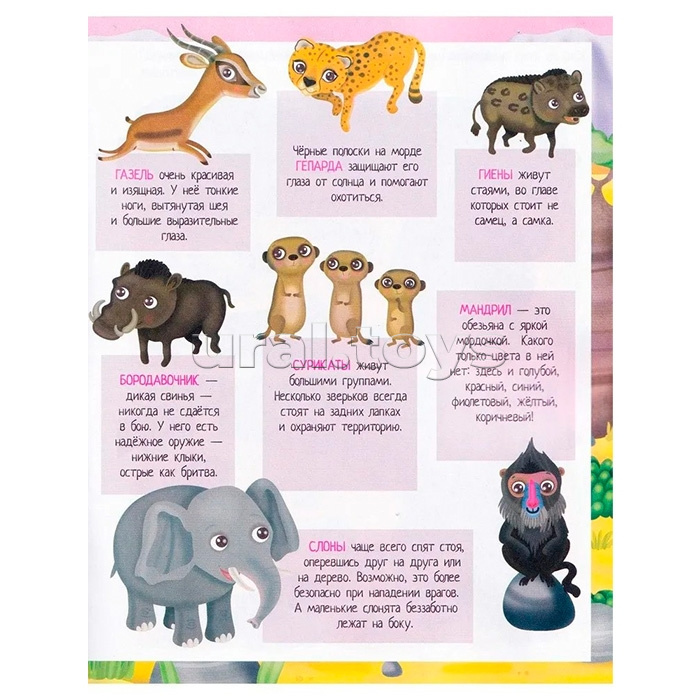 Книжка с наклейками формат А4. Приключения в жаркой саванне. 50 наклеек. Барсотти Э.