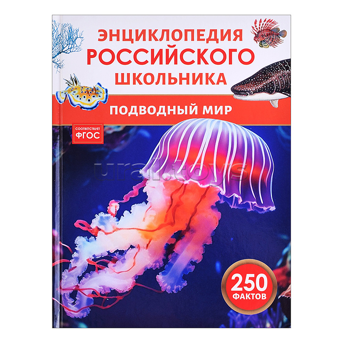 Подводный мир. Энциклопедия российского школьника