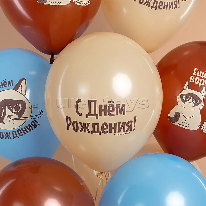 Шар (12''/30 см) С Днем Рождения! (сердитая кошка), Ассорти, пастель, 2 ст, 25 шт.