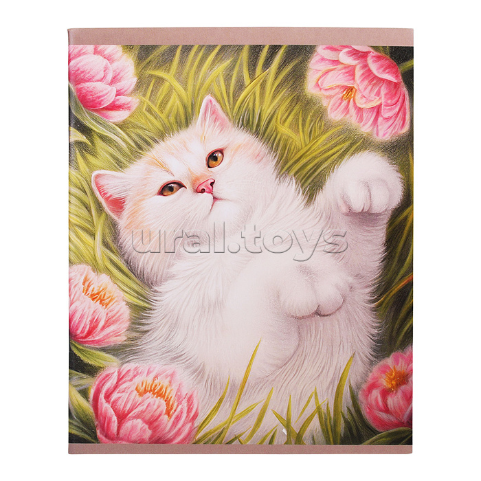 Тетрадь 48л. клетка "Солнечные коты" скрепка. обл.: мел. картон. Бум. оф.60 г/м2.