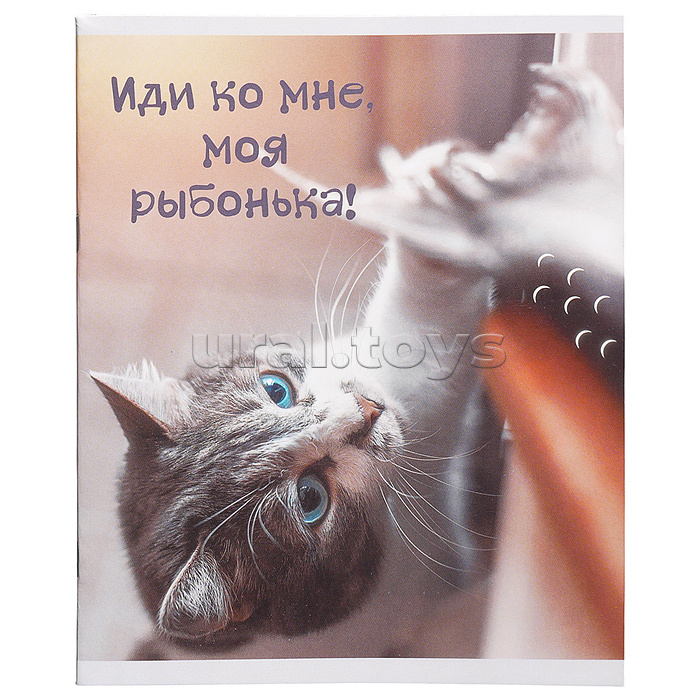 Тетрадь 40л. линия "Кото-терапия" А5 скрепка