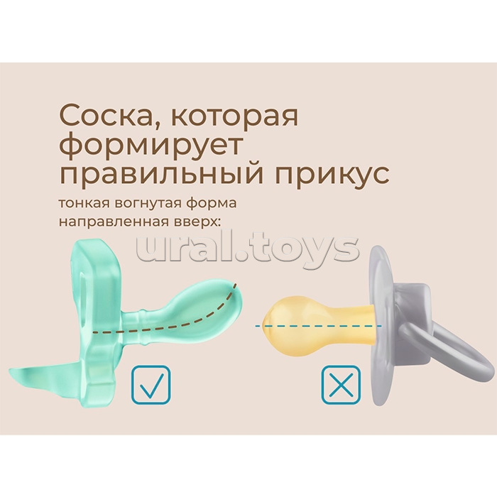 Соска-пустышка цельносиликоновая мятная, в стерилизаторе, 2 шт, 6-18мес