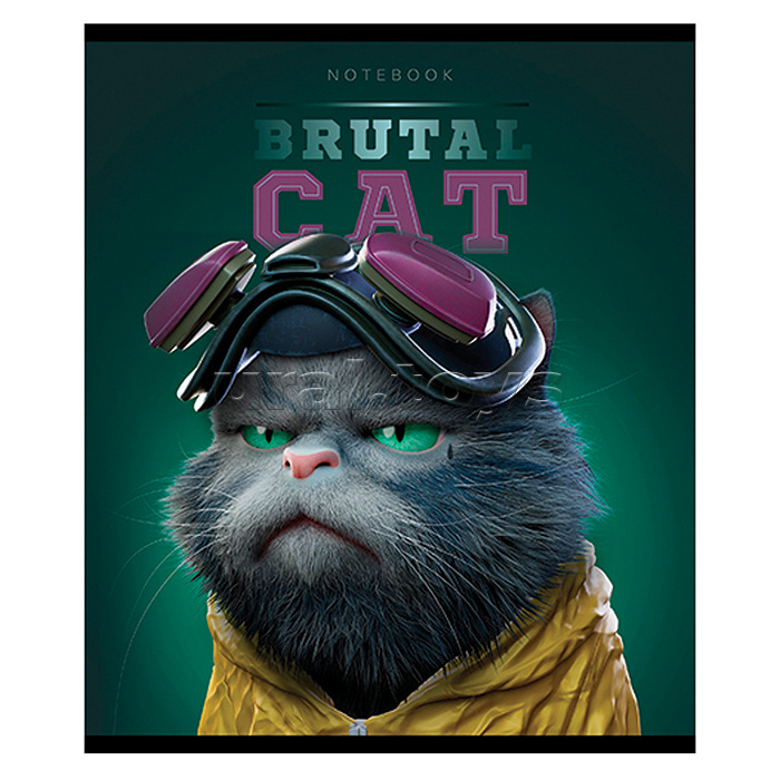 Тетрадь 48л А5 клетка S "Брутальные коты" Премиум Тетрадь 48л А5 клетка S "Брутальные коты" Премиум