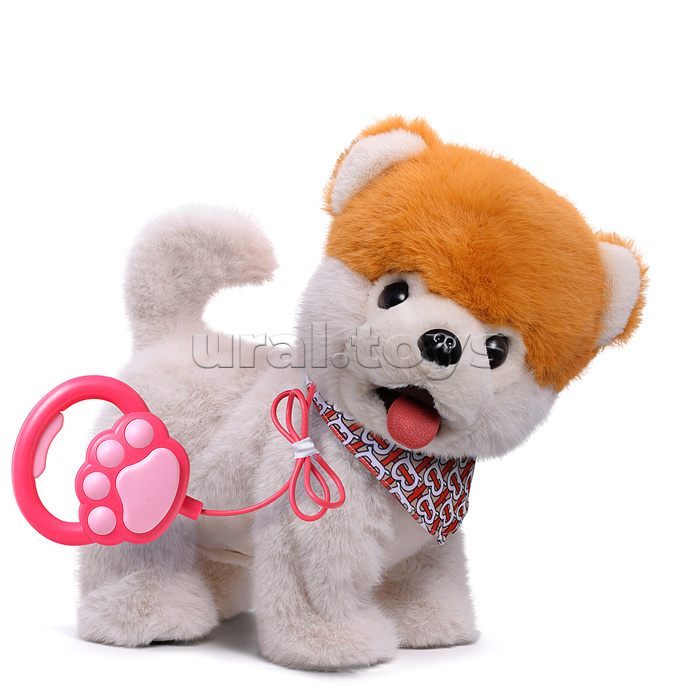 Собака "Боня" (может говорить, ходит, записывает)  в коробке