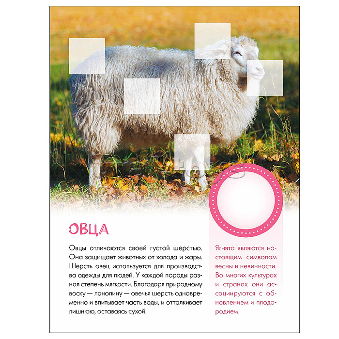 Мир животных с наклейками. Кто живёт в деревне?