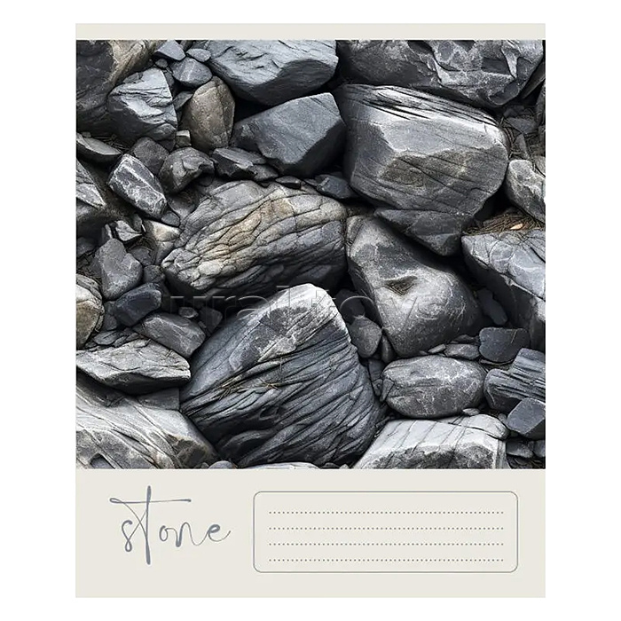 Тетрадь 48л. клетка "Природный код" А5 скрепка