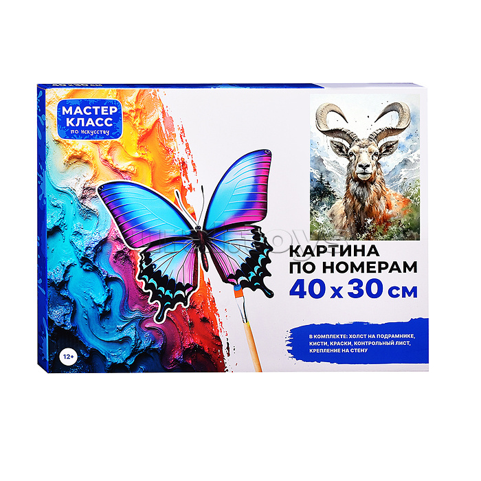 Картина по номерам "Властелин горы" 40*30 см.