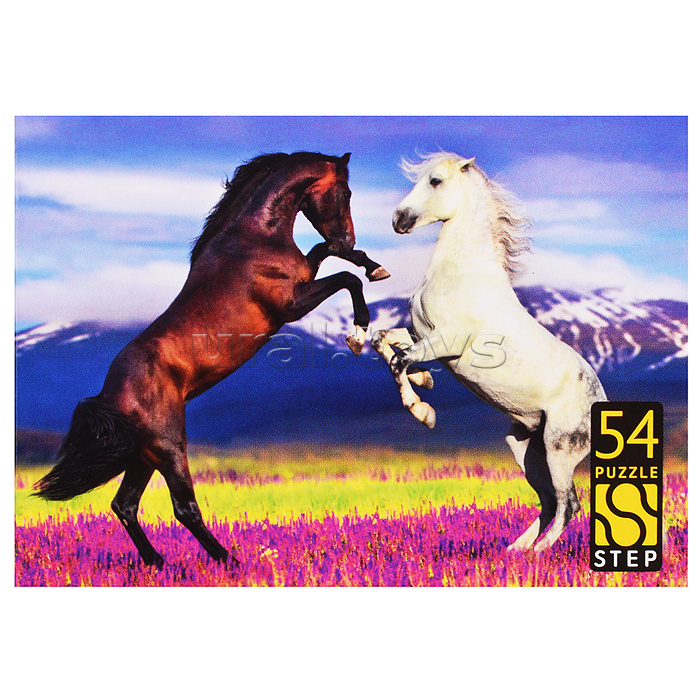 Пазлы 54 "Лошади. Символ года"