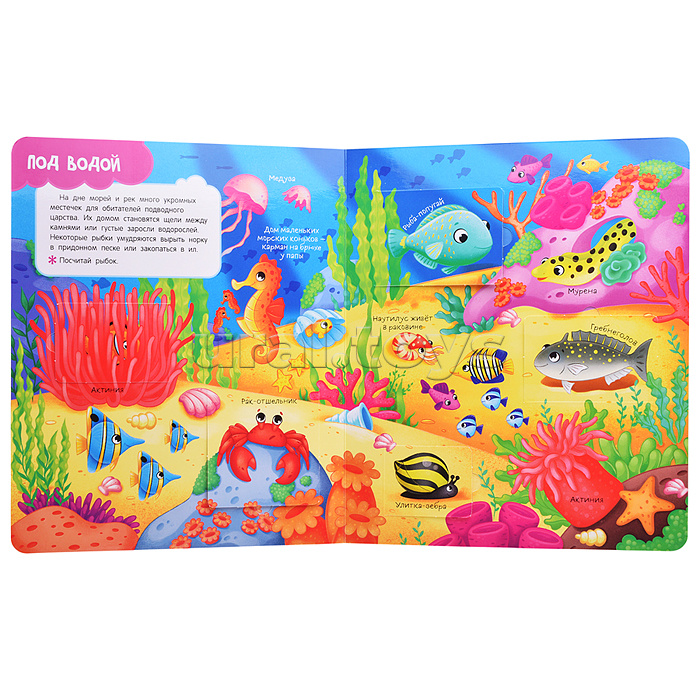 Книги с окошками. Кто где живет