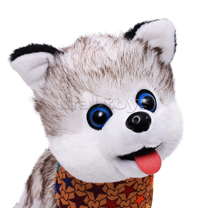 Собака "Боня" (может говорить, ходит, записывает)  в коробке