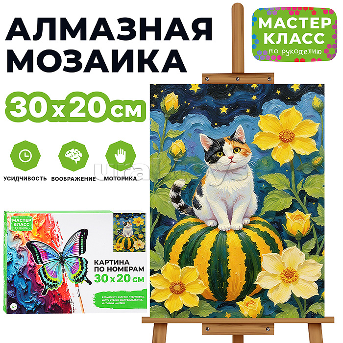 Картина по номерам "Котик на тыкве" 30х20 см.