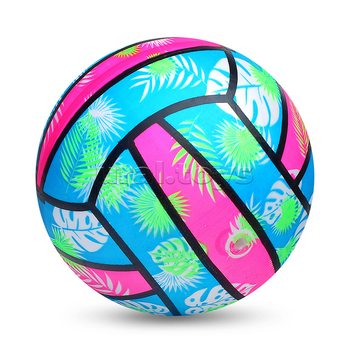 Мяч надувной PVC "Папоротник" 22,5 см., 60 гр. (цвет микс)