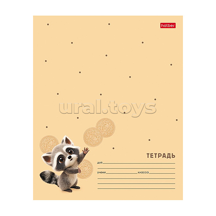 Тетрадь 12л. клетка "Вот енот" А5ф 60-65г/кв.м на скобе Обл. мел.картон 5 диз.в блоке скругл.углы