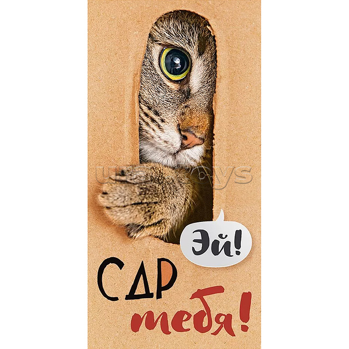 Конверт для денег "Эй! С Днем Рождения тебя!"