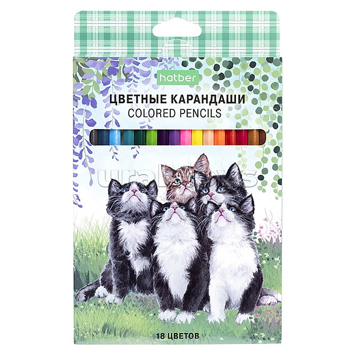 Карандаши цветные 18цв. ECO "Котики бывают разными" заточен. в карт. короб. с европодв Карандаши цветные 18цв. ECO "Котики бывают разными" заточен. в карт. короб. с европодв