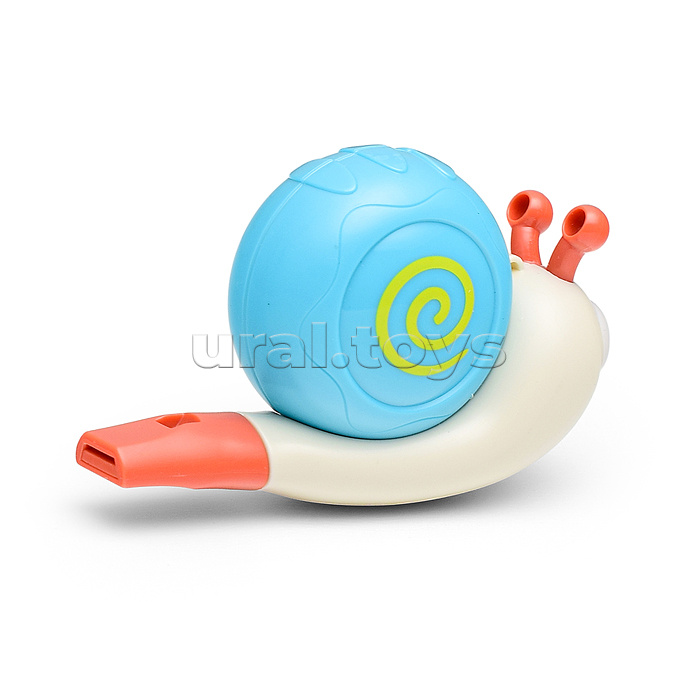 Улитка-свисток в коробке