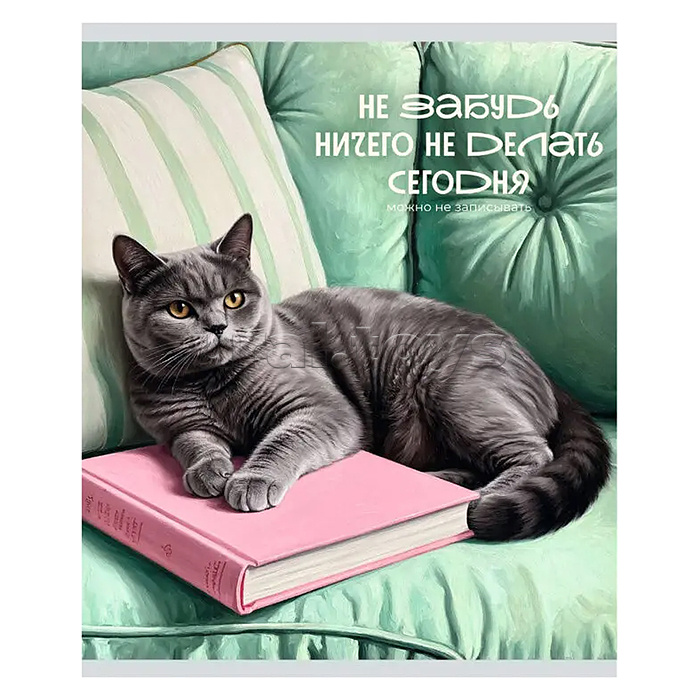 Тетрадь 48л. клетка серая "Кот и лень" А5 скрепка