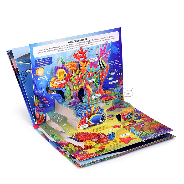 POP UP энциклопедия. Море книжка-панорамка