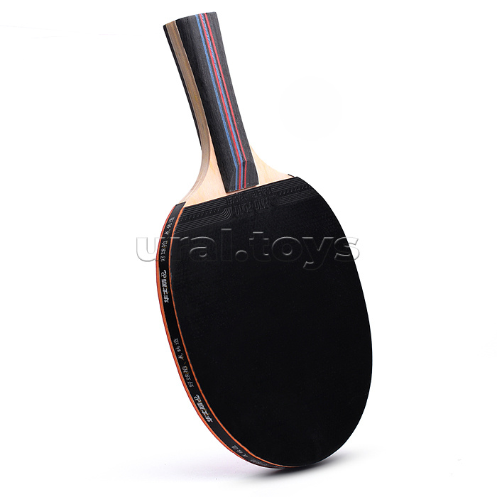 Ракетка для настольного тенниса в сумке