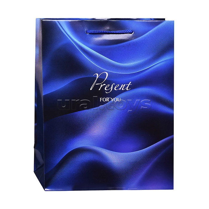 Пакет подарочный с глянцевой ламинацией 18х23x8 см (M) Present 128 г (собс.разр.)