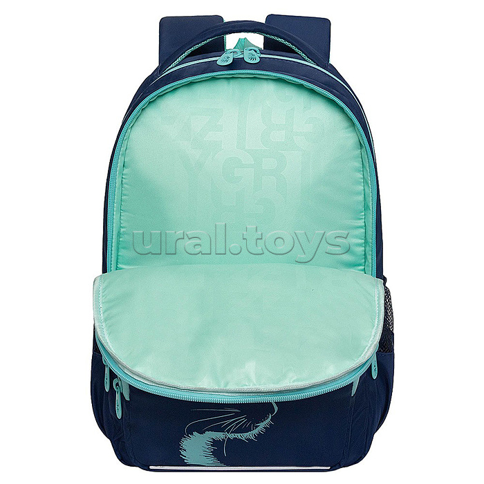 Рюкзак школьный (/1 синий)
