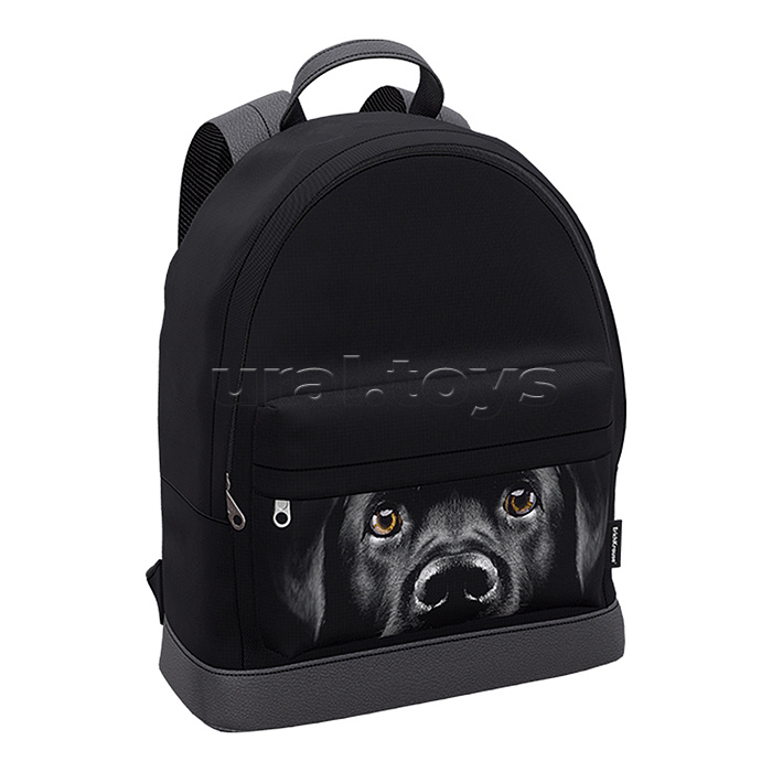 Рюкзак "StreetLine" с отделением для ноутбука 17L Black Dog Рюкзак "StreetLine" с отделением для ноутбука 17L Black Dog