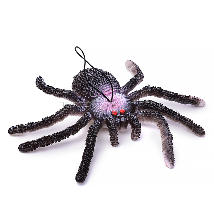 Паук, в пакете