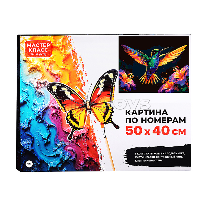 Картина по номерам "Колибри" 50*40 см