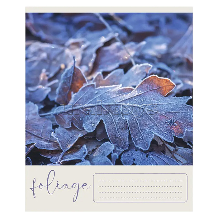 Тетрадь 48л. клетка "Природный код" А5 скрепка