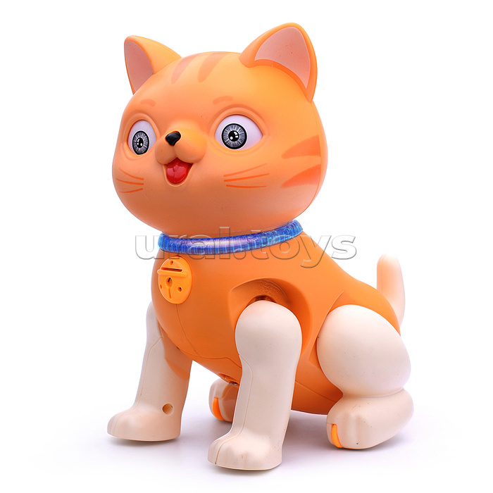 Развивающая игрушка "Кошка" в коробке