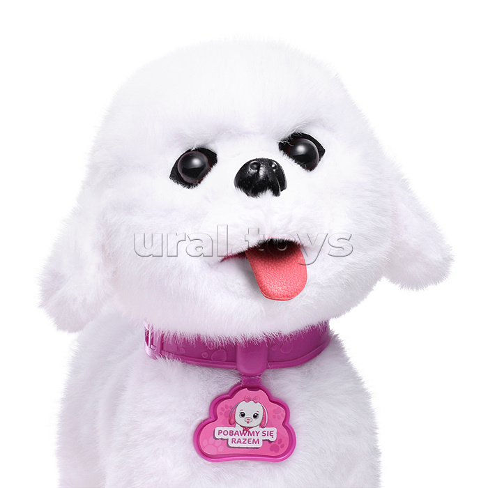 Собака "Боня" (может говорить, ходит, записывает)  в коробке