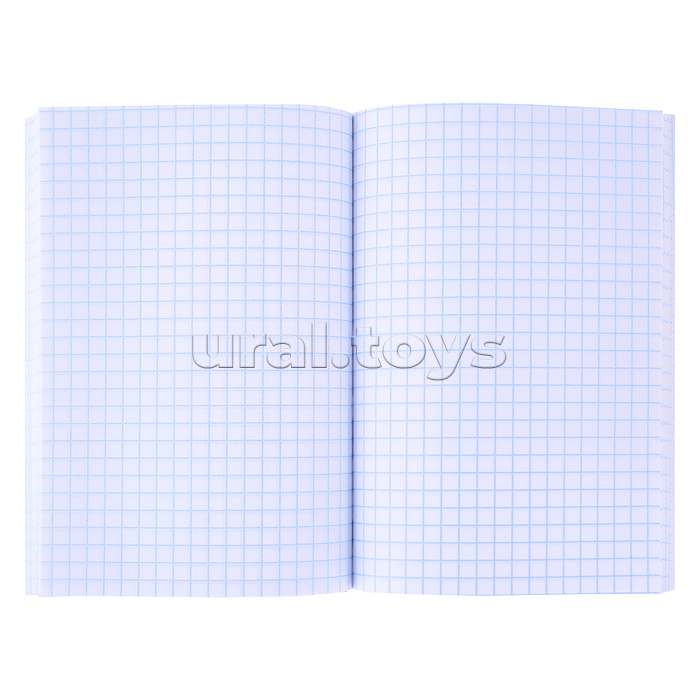 Записная книжка А6 96л. "Пушистый кот - 5" 7БЦ, глянц.ламинирование, цвет.мелов.обл.