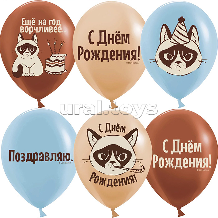 Шар (12''/30 см) С Днем Рождения! (сердитая кошка), Ассорти, пастель, 2 ст, 25 шт.